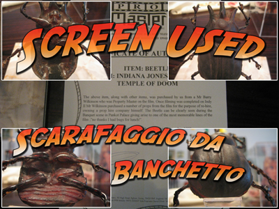Scarafaggio da Banchetto - Screen Used